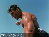 скачать фильм Черный орел / Black Eagle (1988) DVDRip