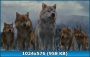 скачать фильм Сумерки. Сага. Рассвет: Часть 2 / The Twilight Saga: Breaking Dawn - Part 2 (2012) HDRip / DVD5