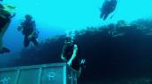 скачать фильм Добро пожаловать в рай 2: Риф / Into the Blue 2: The Reef (2009) WEBDLRip / WEBDL 720p